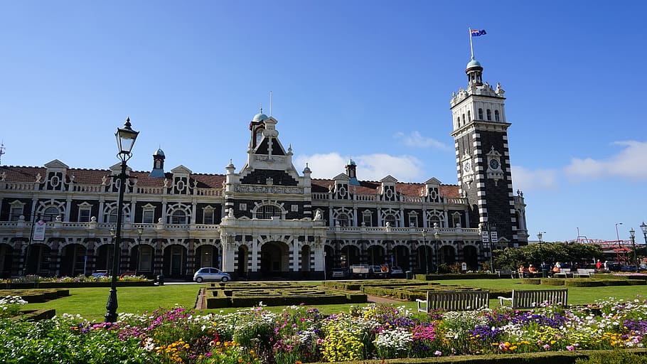 Dunedin Delights: Heritage and Nature Unite